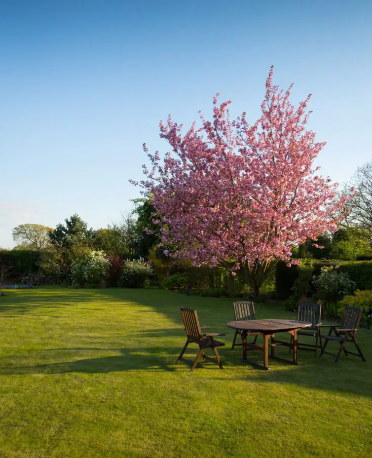 lawn-01